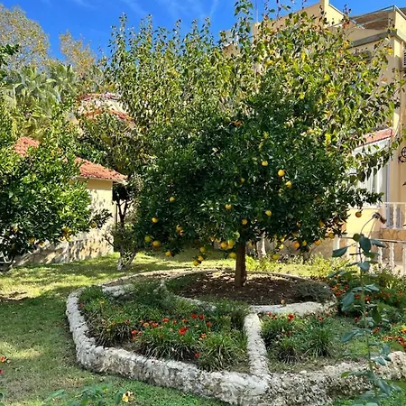 Villa Club Konak 10